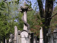 01-48 Pauler Tivadar